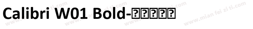 Calibri W01 Bold字体转换